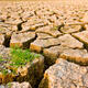 Major climate threat to global supply chains identified by CDP and Accenture